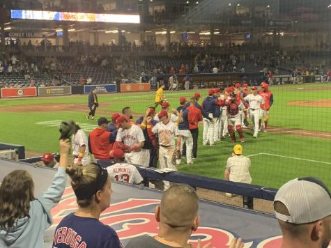 PawSox offer taste of baseball with 'Dining on the Diamond