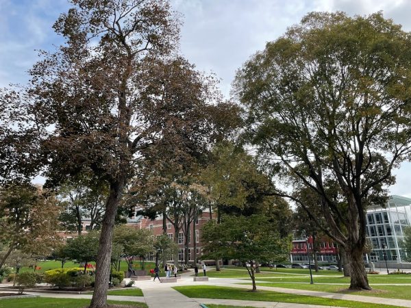 Journaling Wonderment: An Ode to Clark’s Campus