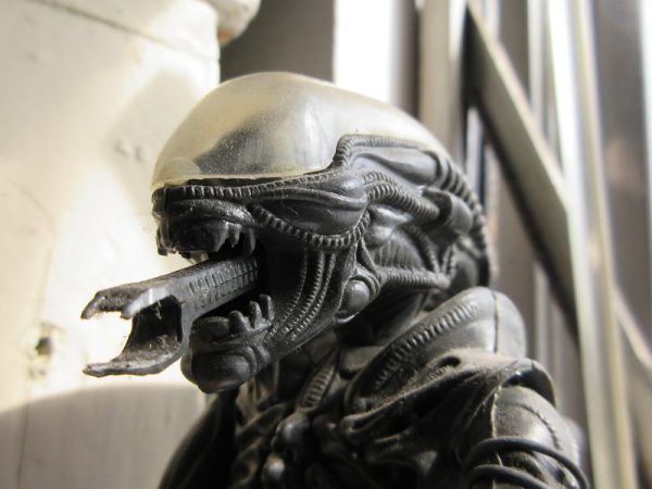 A Xenomorph plastic model kit.